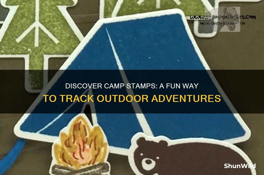 what is camp stamps