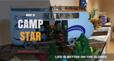 Discover the Magic of Camp Star: A Unique Adventure Awaits