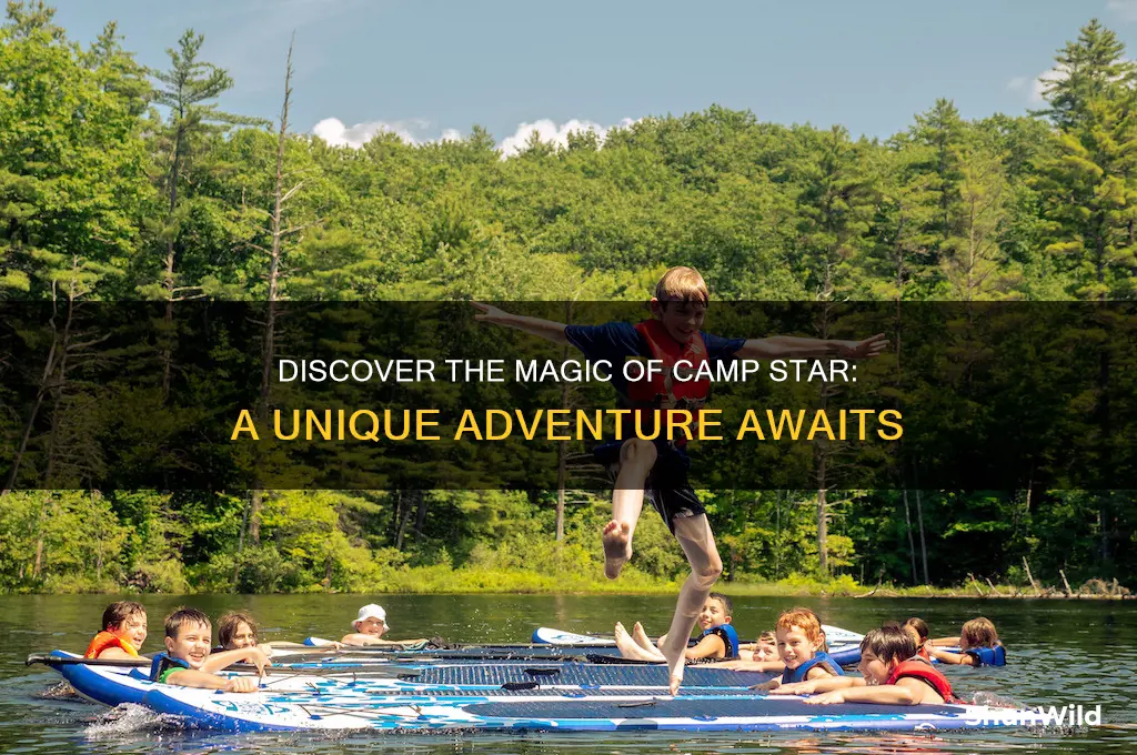 what is camp star