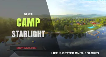 Discover the Magic of Camp Starlight: A Summer Adventure