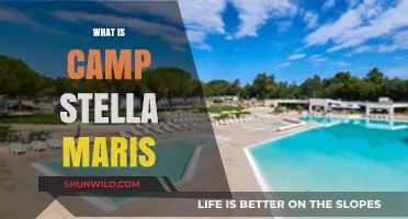 Discover Camp Stella Maris: A Haven for Adventure and Growth
