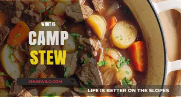 Discover the Hearty Comfort of Traditional Camp Stew