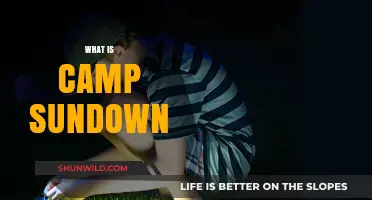 Exploring Camp Sundown: A Haven for XP Sufferers