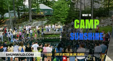 Discover Camp Sunshine: A Haven for Families Facing Medical Challenges