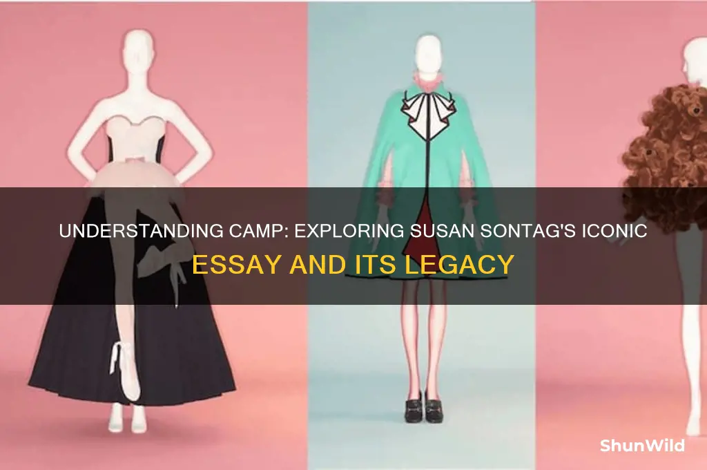 what is camp susan sontag
