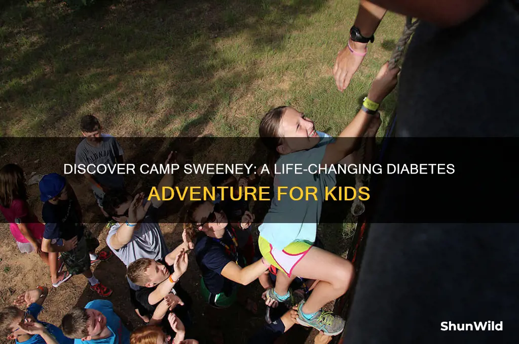 what is camp sweeney