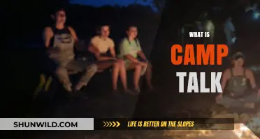 Unveiling Camp Talk: Understanding Its Meaning, Origins, and Cultural Impact