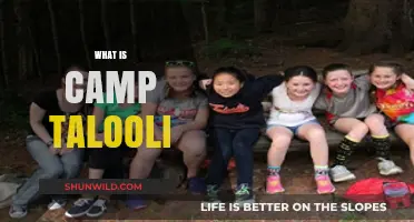 Discover Camp Talooli: A Unique Summer Adventure for Kids
