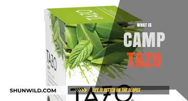 Discover Camp Tazo: A Unique Tea-Inspired Adventure Experience