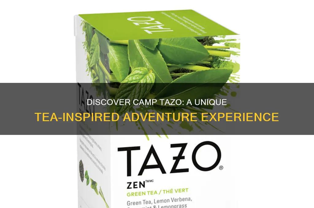 what is camp tazo