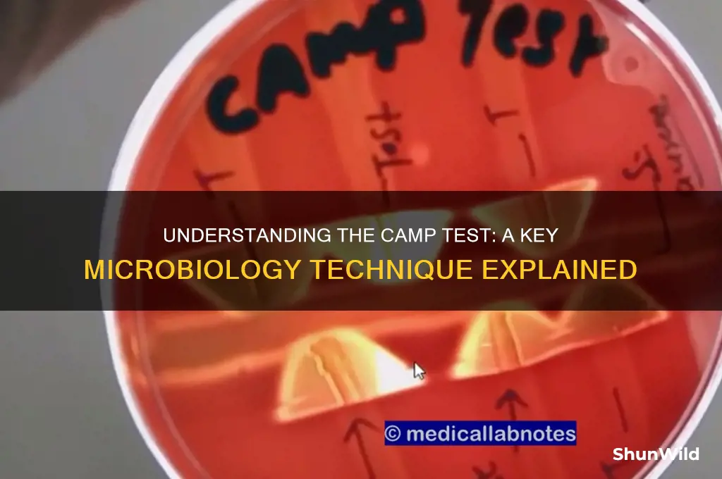 what is camp test microbiology