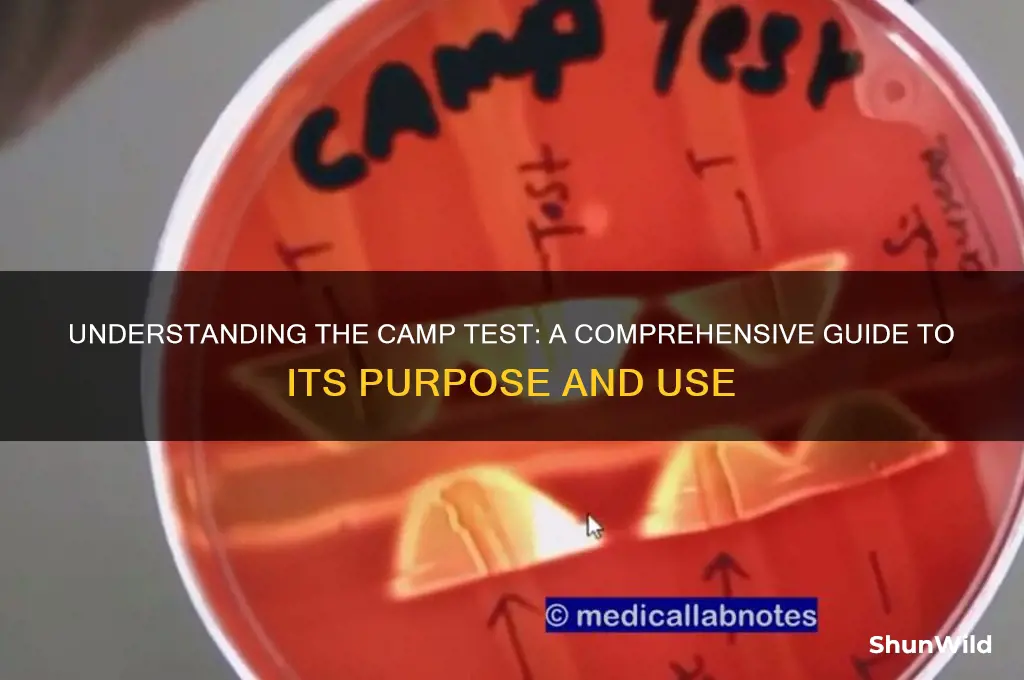 what is camp test