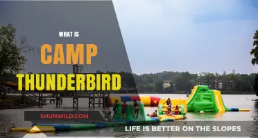 Exploring Camp Thunderbird: A Summer Adventure Like No Other