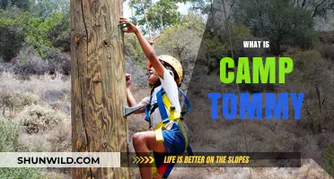 Exploring Camp Tommy: A Unique Outdoor Adventure Experience Revealed