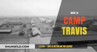 Discovering Camp Travis: History, Purpose, and Impact Explained