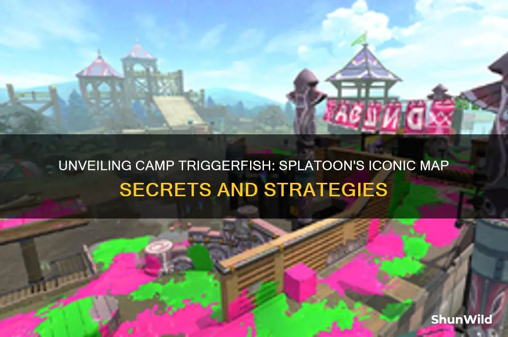 what is camp triggerfish