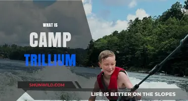 Discover Camp Trillium: A Haven for Children with Cancer