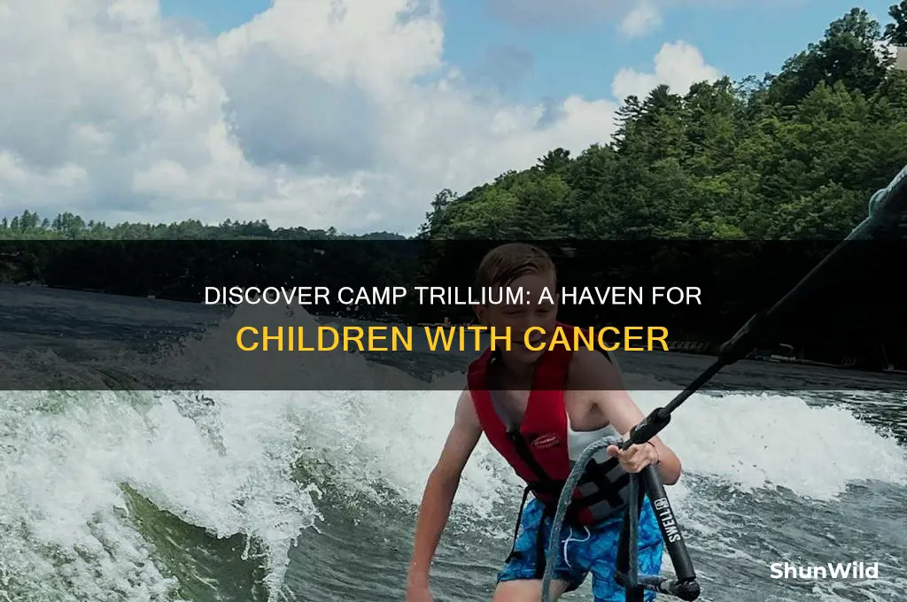 what is camp trillium