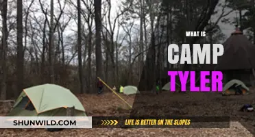 Discover Camp Tyler: A Hidden Gem for Outdoor Adventures