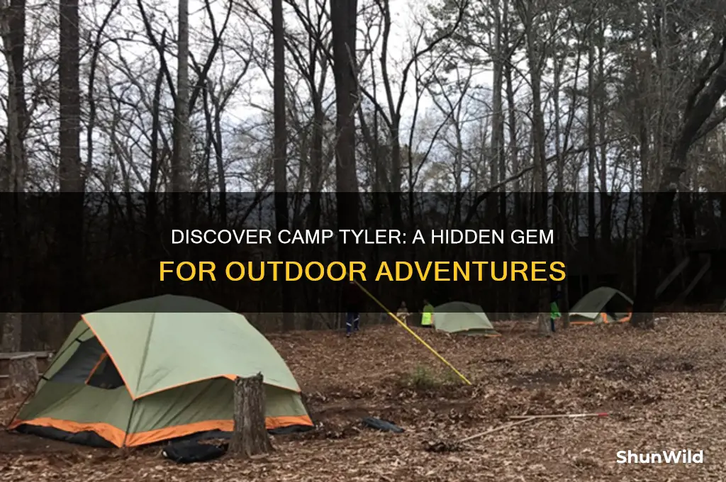 what is camp tyler