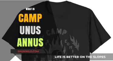 Unus Annus Explained: Unraveling the Mystery of Camp Unus Annus