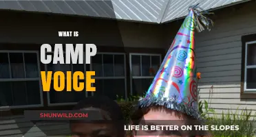 Understanding Camp Voice: Origins, Characteristics, and Cultural Significance Explained