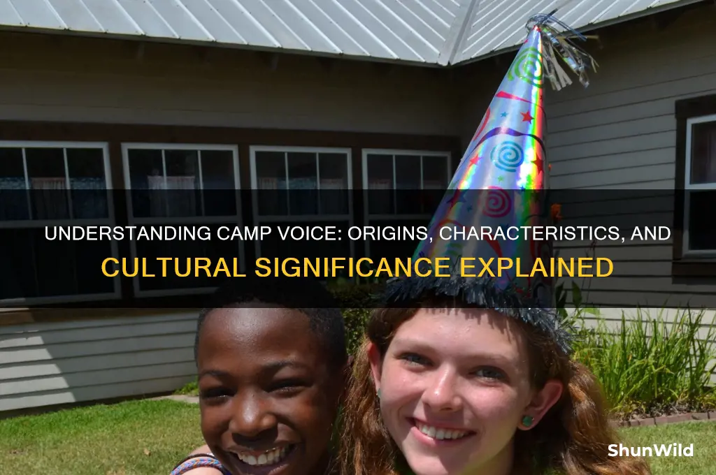 what is camp voice