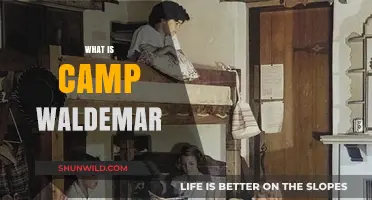 Discover Camp Waldemar: A Timeless Summer Tradition for Girls
