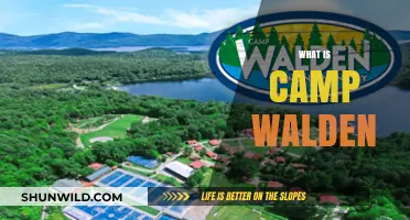 Discover Camp Walden: A Summer Adventure for Kids and Teens