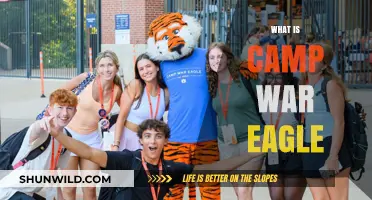 Discover Camp War Eagle: Auburn's Iconic Summer Orientation Experience