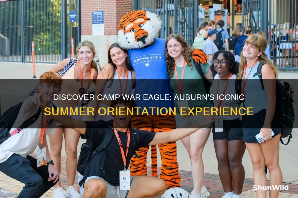 what is camp war eagle