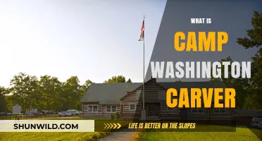 Discover Camp Washington Carver: A Hidden Gem of History and Nature