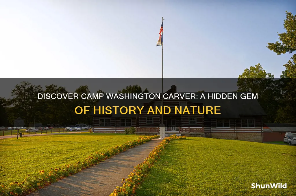 what is camp washington carver