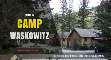 Exploring Camp Waskowitz: A Unique Summer Adventure for Kids