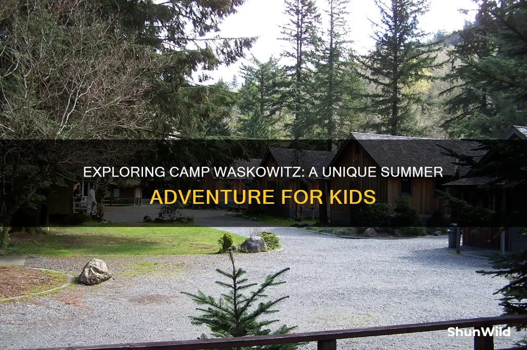 what is camp waskowitz