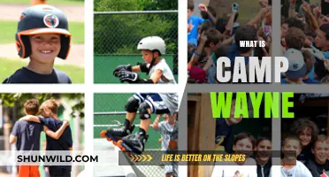 Discover Camp Wayne: A Summer Adventure for Kids