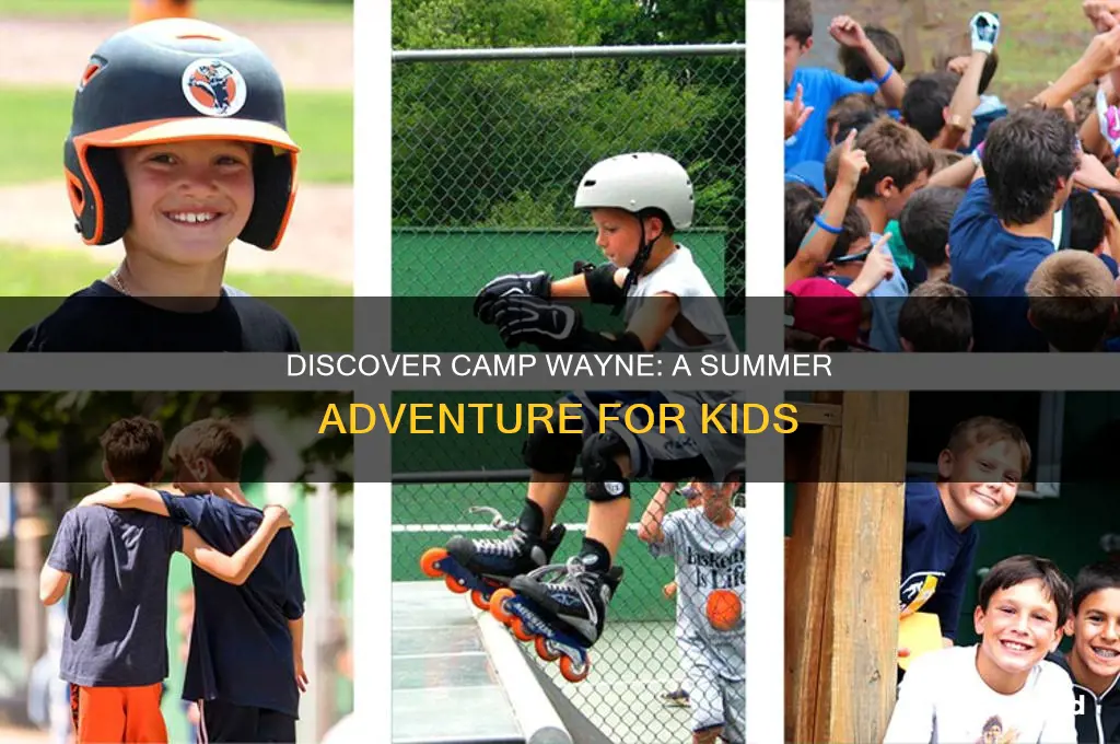 what is camp wayne