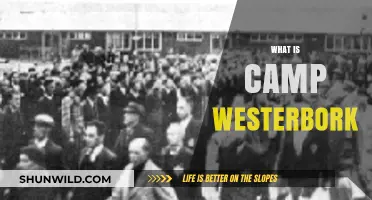 Unveiling Camp Westerbork: A Historical Overview of the Transit Camp