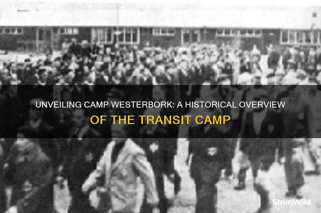 what is camp westerbork