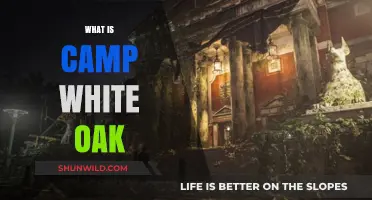 Discovering Camp White Oak: A Hidden Gem in the Wilderness