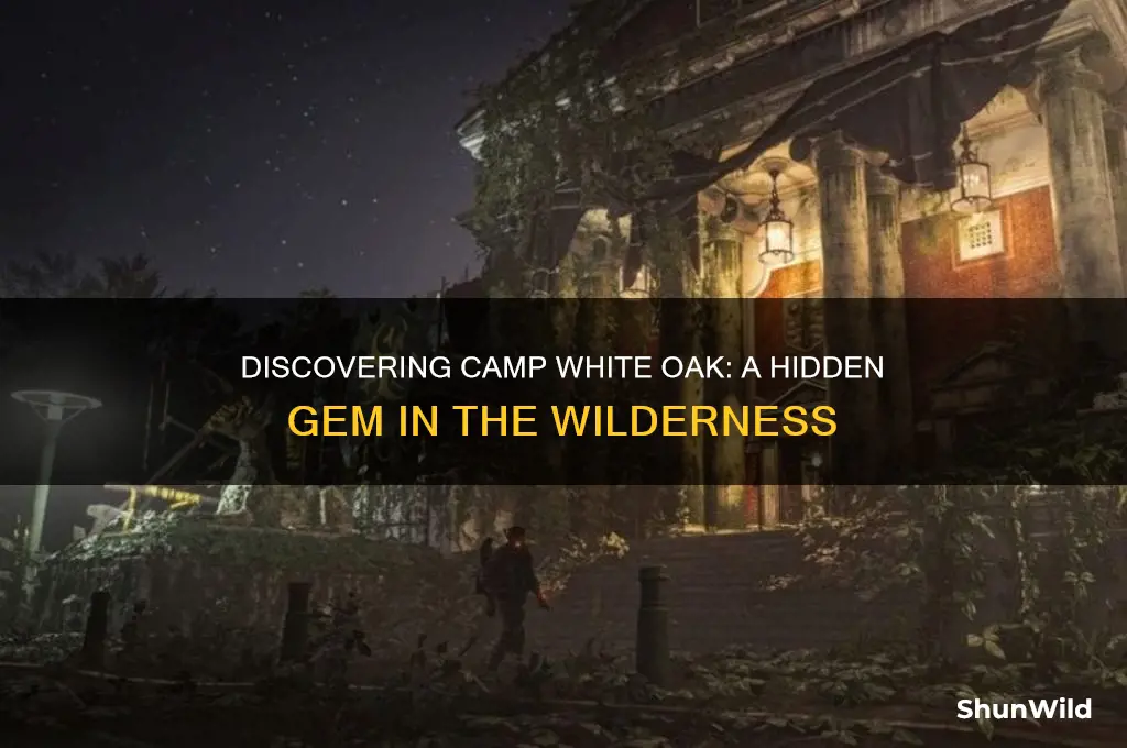 what is camp white oak