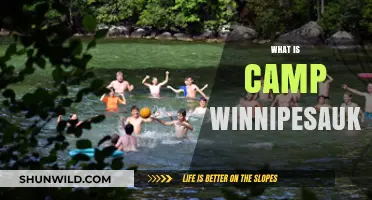 Discover Camp Winnipesaukee: A Summer Adventure Like No Other