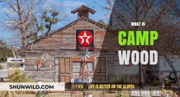 Discover Camp Wood: A Hidden Gem in Texas Hill Country