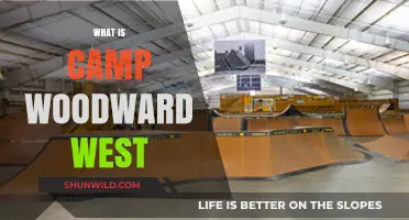 Discover Camp Woodward West: A Premier Action Sports Camp