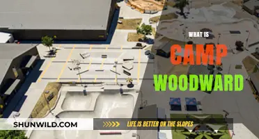 Discover Camp Woodward: Action Sports, Creativity, and Community Explained
