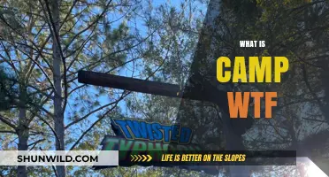 Unveiling Camp WTF: Exploring the Wild, Thrilling, and Fun Experience