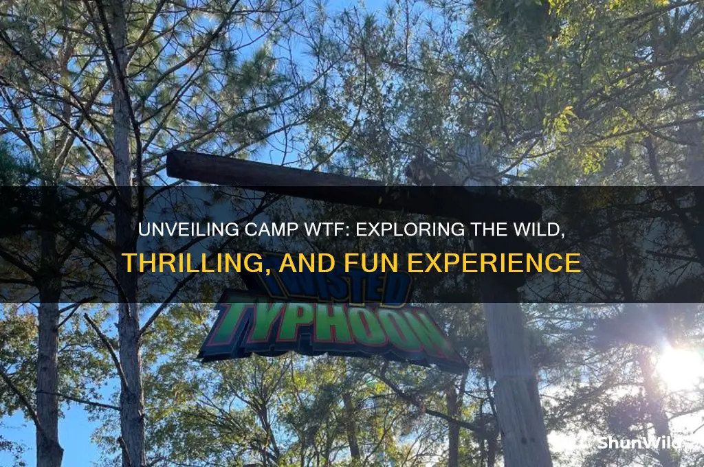 what is camp wtf