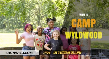 Discover Camp Wyldwood: A Summer Adventure Like No Other