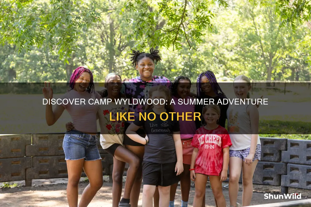 what is camp wyldwood