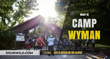 Discover Camp Wyman: A Hidden Gem for Outdoor Adventures